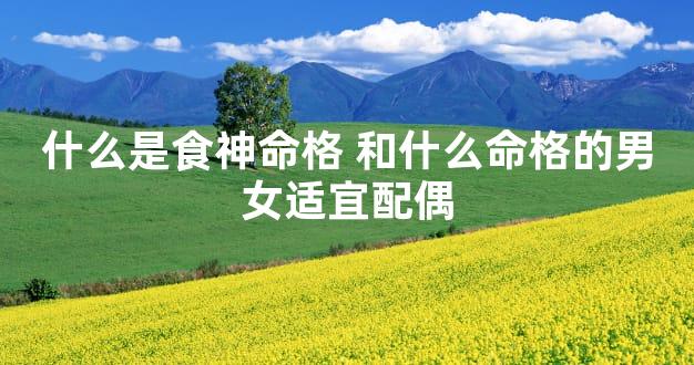 什么是食神命格 和什么命格的男女适宜配偶
